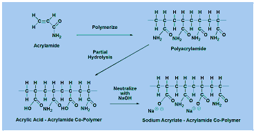 Superabsorbant Polymer