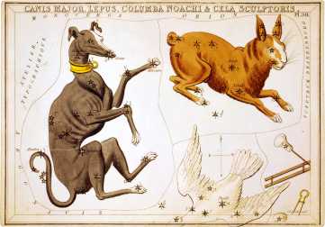 Canis Major, Lepus, Columba Noachi and Cela Sculptoris, plate 30 in Urania's Mirror
