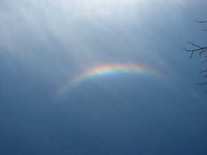 Circumzenith arc, Bosworth, 22 August, 2009
