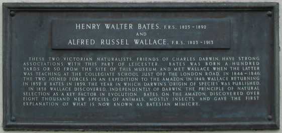 Plaque commemorating Wallace and Bates at New Walk Museum, Leicester.